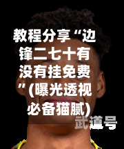 教程分享“边锋二七十有没有挂免费”(曝光透视必备猫腻)-第2张图片