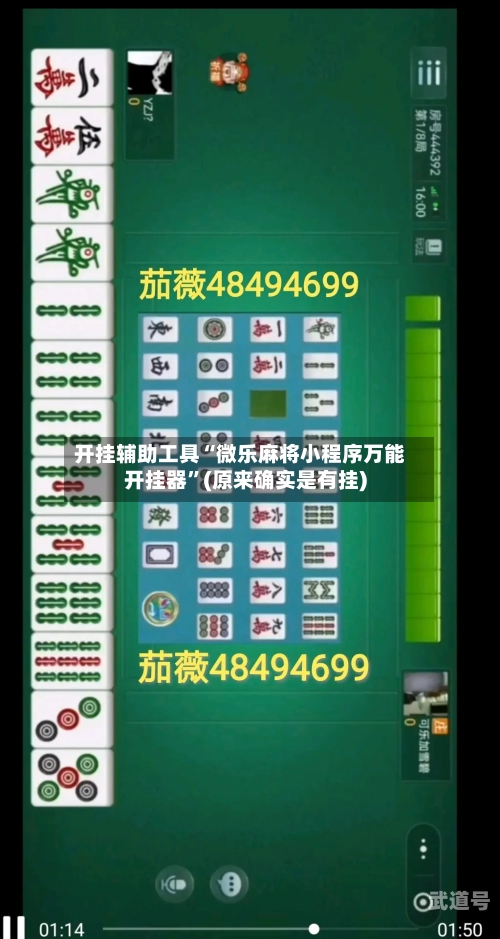 开挂辅助工具“微乐麻将小程序万能开挂器	”(原来确实是有挂)-第2张图片