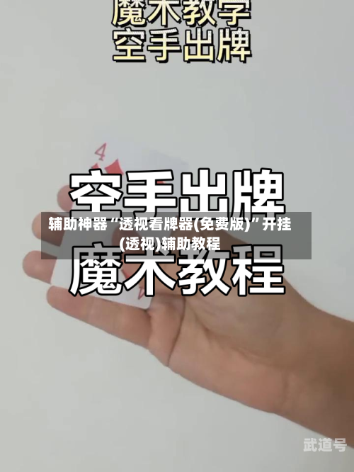 辅助神器“透视看牌器(免费版)”开挂(透视)辅助教程-第1张图片