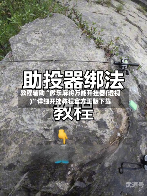 教程辅助“微乐麻将万能开挂器(透视)”详细开挂教程官方正版下载-第2张图片