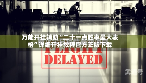 万能开挂辅助“二十一点胜率最大表格”详细开挂教程官方正版下载-第2张图片