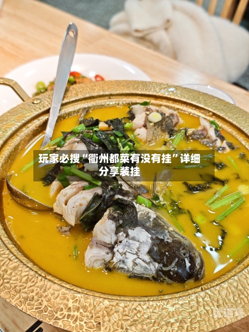 玩家必搜“衢州都菜有没有挂	”详细分享装挂-第1张图片