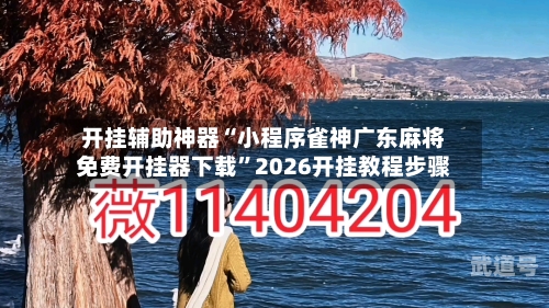 开挂辅助神器“小程序雀神广东麻将免费开挂器下载”2026开挂教程步骤-第2张图片