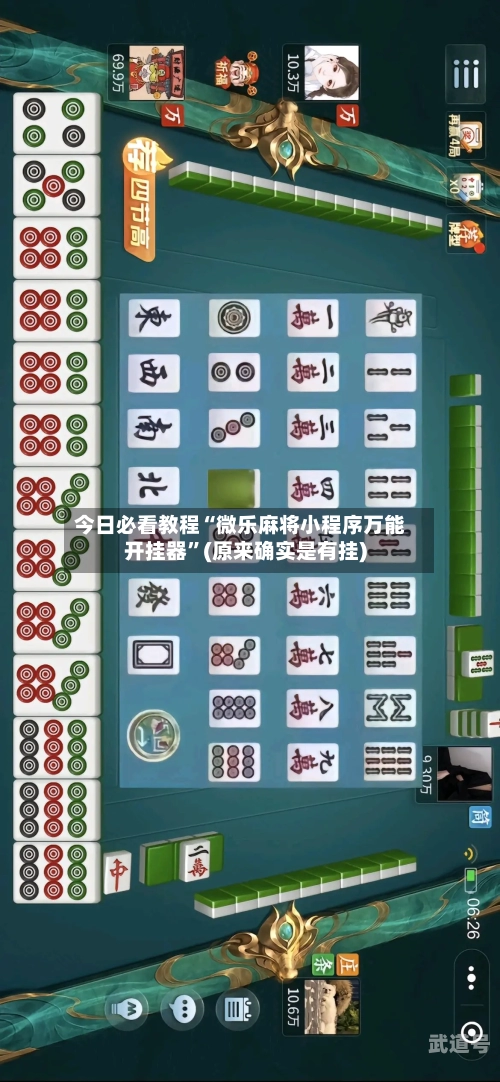 今日必看教程“微乐麻将小程序万能开挂器”(原来确实是有挂)-第2张图片