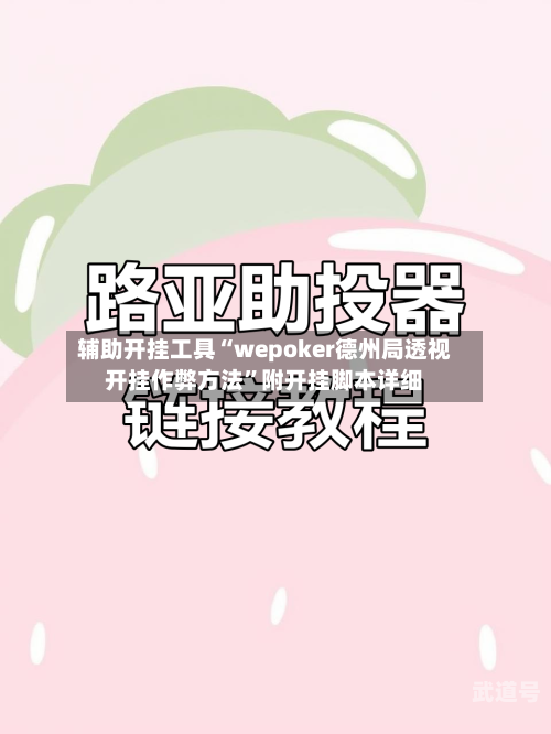 辅助开挂工具“wepoker德州局透视开挂作弊方法”附开挂脚本详细-第1张图片