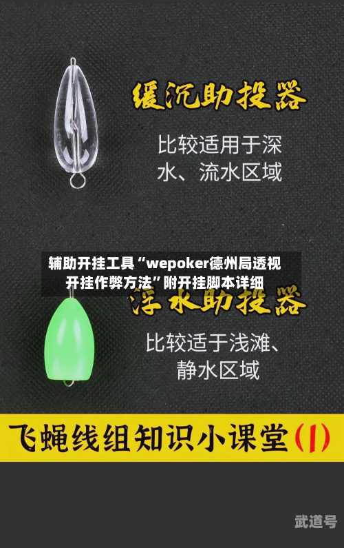 辅助开挂工具“wepoker德州局透视开挂作弊方法”附开挂脚本详细-第2张图片