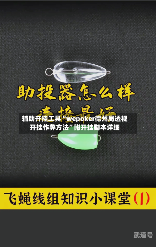 辅助开挂工具“wepoker德州局透视开挂作弊方法	”附开挂脚本详细-第3张图片