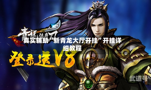 真实辅助“新青龙大厅开挂”开挂详细教程-第1张图片