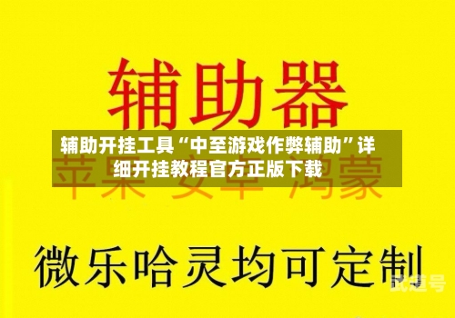 辅助开挂工具“中至游戏作弊辅助”详细开挂教程官方正版下载-第3张图片