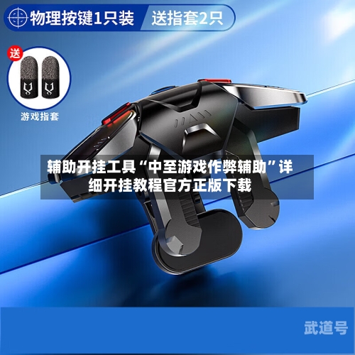 辅助开挂工具“中至游戏作弊辅助”详细开挂教程官方正版下载-第1张图片