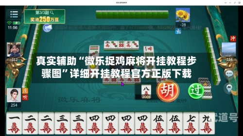 真实辅助“微乐捉鸡麻将开挂教程步骤图”详细开挂教程官方正版下载-第1张图片