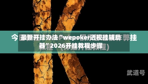 最新开挂办法“wepoker透视挂辅助器”2026开挂教程步骤-第2张图片