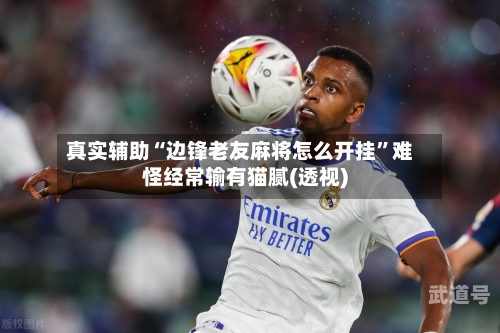 真实辅助“边锋老友麻将怎么开挂	”难怪经常输有猫腻(透视)-第1张图片