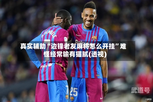 真实辅助“边锋老友麻将怎么开挂”难怪经常输有猫腻(透视)-第2张图片