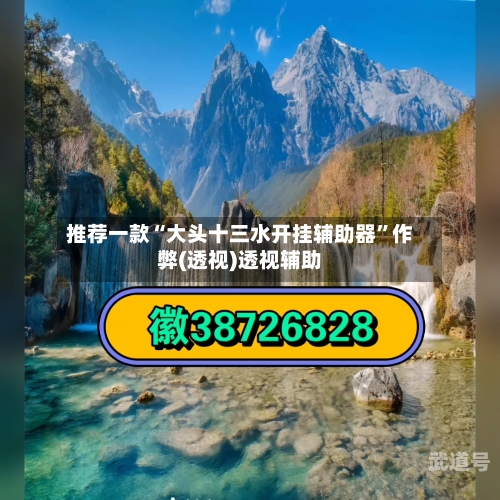 推荐一款“大头十三水开挂辅助器	”作弊(透视)透视辅助-第2张图片