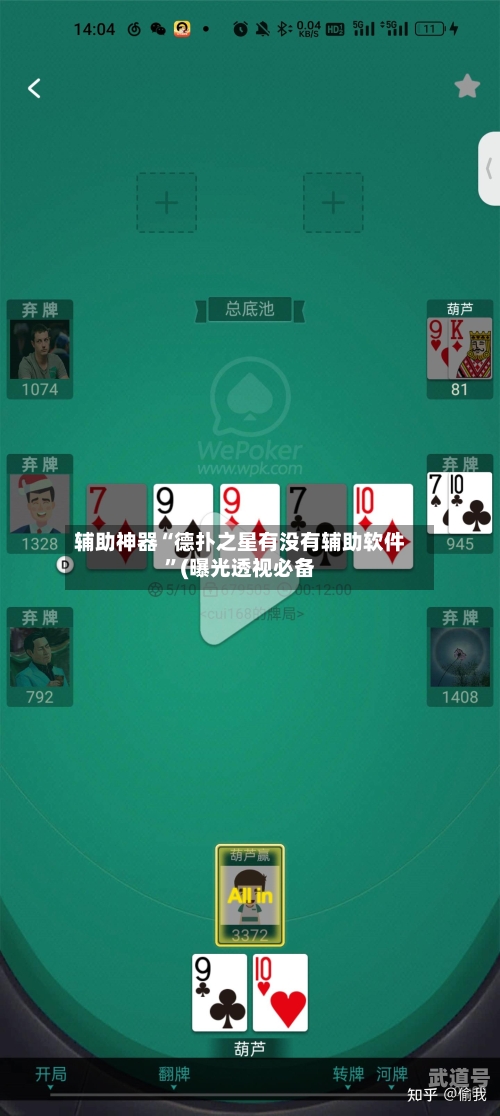 辅助神器“德扑之星有没有辅助软件”(曝光透视必备-第3张图片